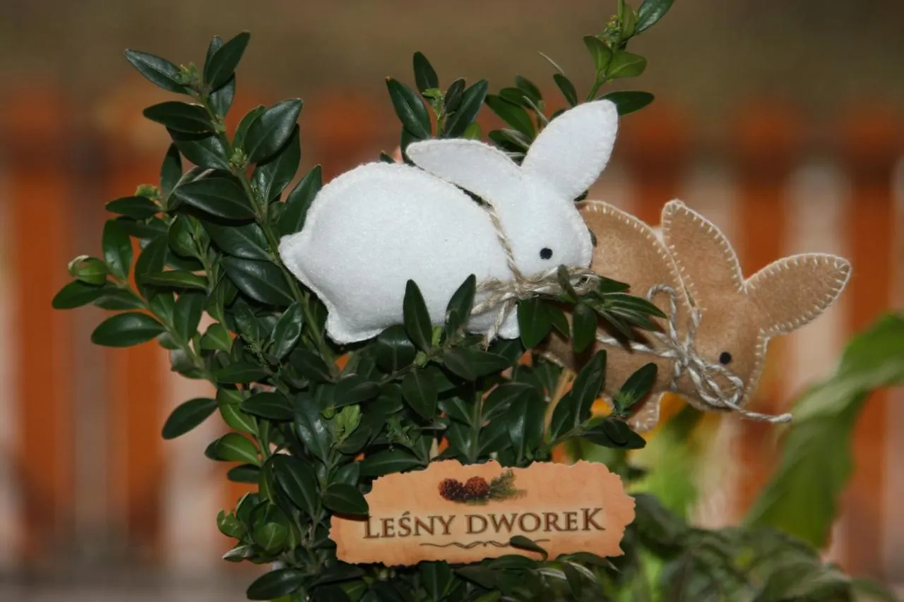 Lesny Dworek זקופאנה