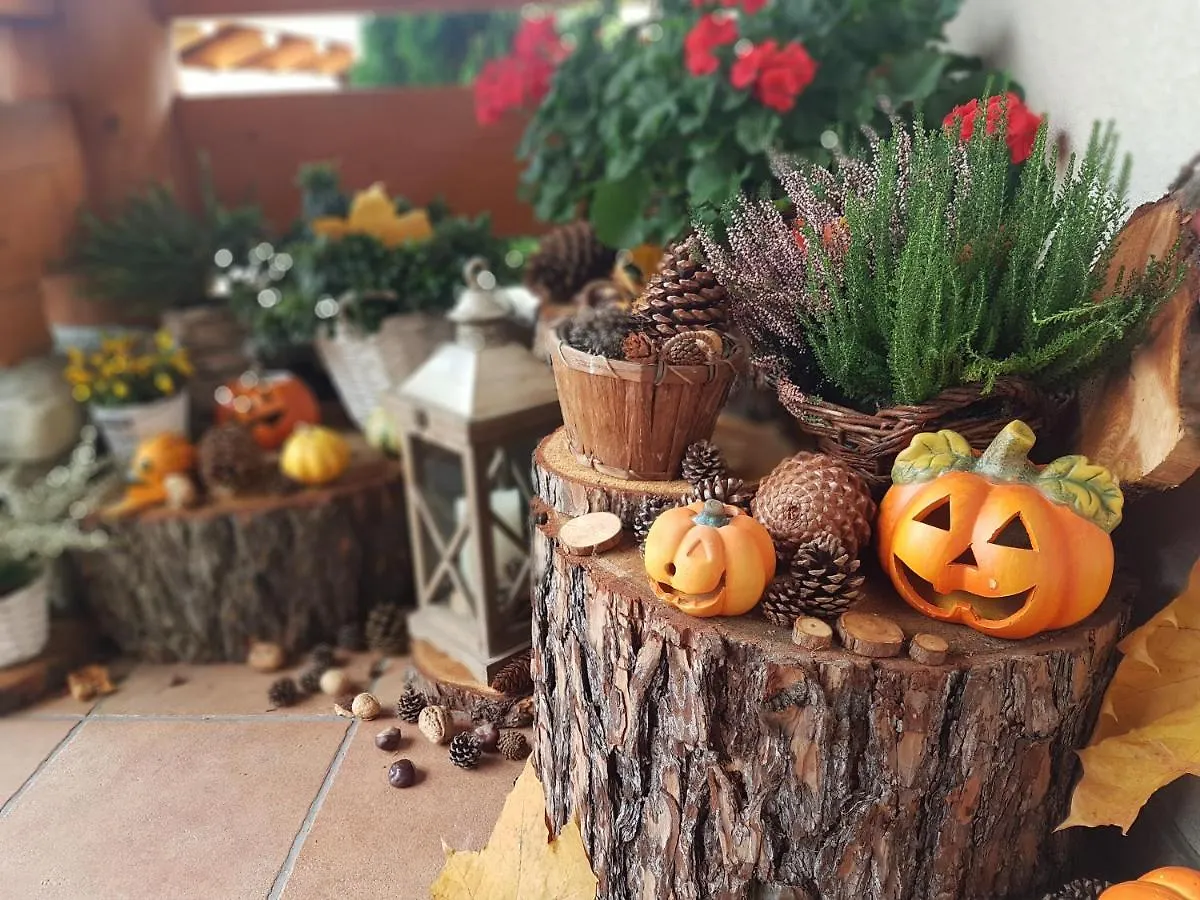 فندق مبيت وإفطار Lesny Dworek زاكوباني