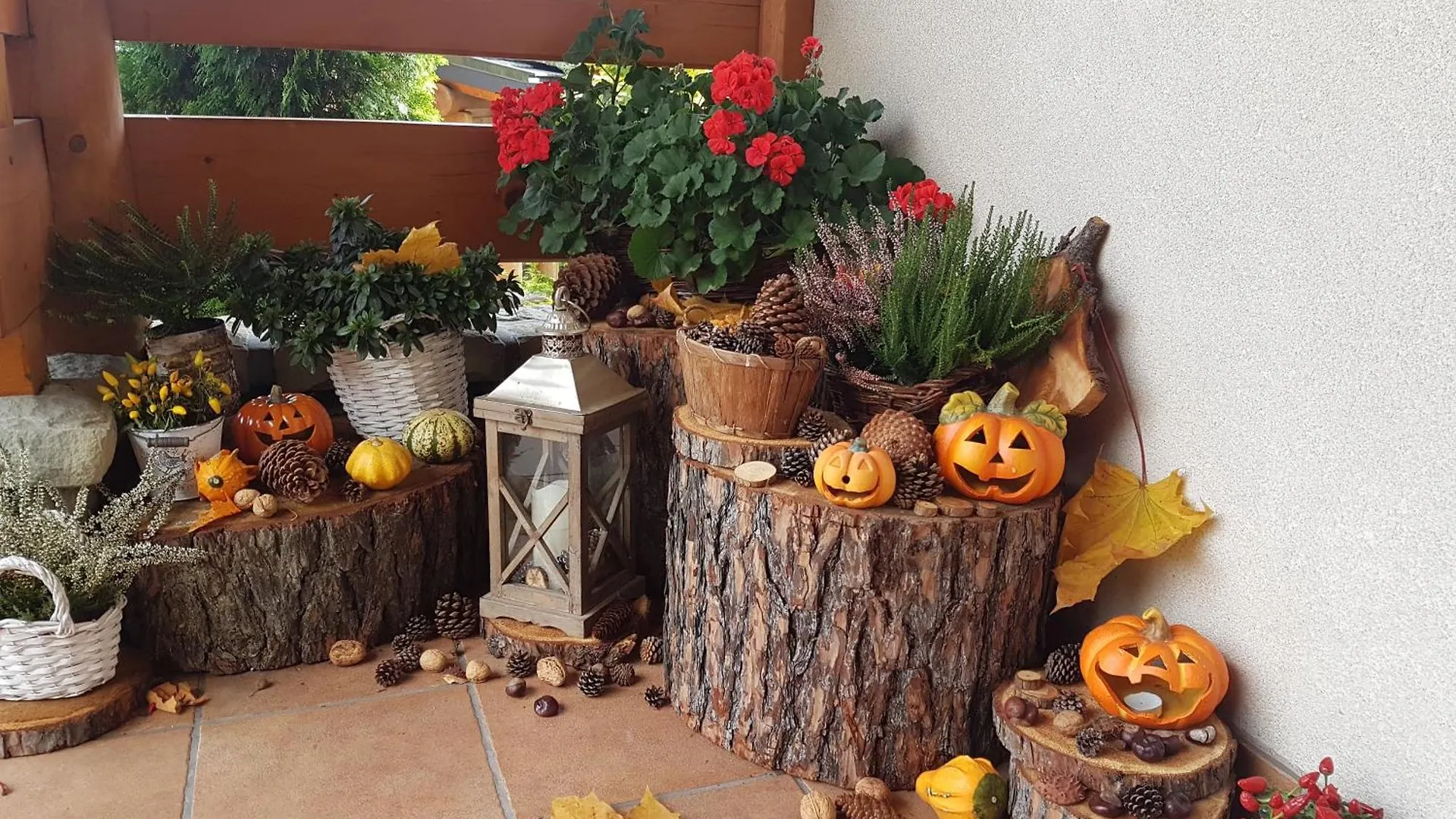 Bed and breakfast Lesny Dworek Zakopane
